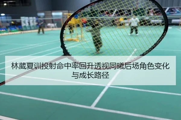 林葳夏训投射命中率回升透视同曦后场角色变化与成长路径